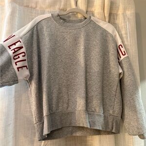 American Eagle Outfitters Gray and White Crew Neck Sweater